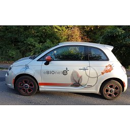Obrázek pro produkt FIAT 500e